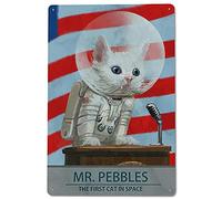 Plaque murale rétro en métal avec inscription Mr. Pebbles The First Cat in Space - Décoration murale - 20,3 x 30,5 cm