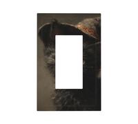 Plaque murale vintage avec motif chaton noir portant un chapeau de sorcière - Plaque murale à bascule unique - Décoration pour la maison, la cuisine, la salle de bain