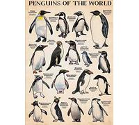Plaque Murales Des Pingouins Sur Mes Résidents De M'Arctique Pingouins Du Monde Plaques Rétro Décoration Pour Maison Pub Jardin Bureau M