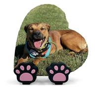 Plaque Naturelle Commémorative Personnalisée En Forme De Coeur Pour Chat, Chien, Ardoise, Pierre Naturelle Avec Support De Présentation Pour Les Pattes - Impression Complète - Taille V2 | 10 x 10 cm |