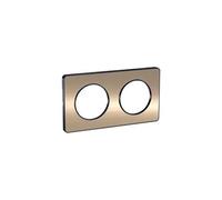 Schneider Electric - Odace Touch, plaque Bronze brossé liseré Anthracite 2 postes horiz./vert. 71mm - S540804L