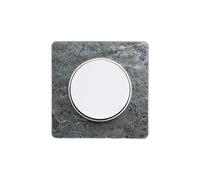 Schneider Electric Plaque Odace Touch Pierre galet avec liseré blanc 1 poste Unique