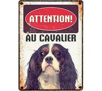 Plaque personnalisée - Cavalier - Plaque métallique décorative - Motif Cavalier King Charles - 14,8 x 21 cm - Flamingo