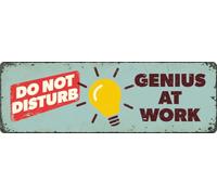 Plaque personnalisée - Genius At Work - Plaque métallique décorative - Message Humoristique - 31,8 x 15,2 cm - Flamingo