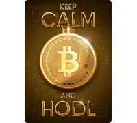Plaque personnalisée - Keep Calm Bitcoin - Plaque métallique décorative - thème cryptomonnaie - 14,8 x 21 cm - Flamingo
