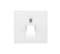 Plaque pour prise Berker Q.1 TELEINFORMATION 14076089
