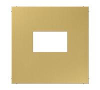 Plaque prise USB LS couleur laiton classique (référence : JUNG ME1969USBC)