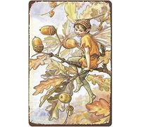 Plaque rétro en étain avec inscription « The Acorn Flower Fairies » pour chambre d'enfant - 20,3 x 30,5 cm