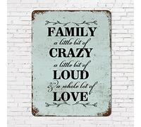 Plaque rétro en métal avec citation positive de la Bible « Life Positive Family a Little Bit of Crazy a Little Bit of Loud and a Whole Lot of Love » - 30,5 x 40,6 cm - Pour porte, salon, maison