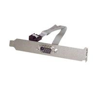 StarTech.com Plaque 40 cm série mâle 9 broches vers connecteur interne de carte mère 10 broches