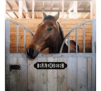 Plaque signalétique personnalisée en métal pour équestre, équitation, décoration de grange, décoration de ranch, panneau de porte d'écurie, cadeau personnalisé pour les amateurs de chevaux (noir)