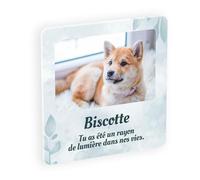 Plaque Souvenir commémorative en plexiglass pour Animal de Compagnie, Hommage funéraire Personnalisable pour Chat ou Chien décédé avec Photo et Texte, Fixation adhésive Floral