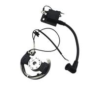 Plaque Stator Bobine D'allumage Et Rotor Interne Moto Pour SX 50cc Pit Bike Stator Magneto Accessoires 1 Pièce