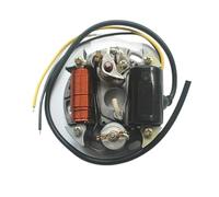 Plaque Stator Pour Zundapp Pour Kreidler Pour Hercules Pour PUCH 6V 17W 35W 2 Types D'alternateur D'allumage Bobine De Stator 1X(35W)