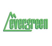 Evergreen Plaque de Structure 1 x 150 x 300 mm