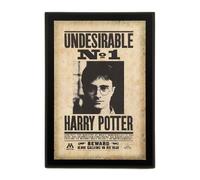 Plaque Undesirable N°1 Harry Potter - The Noble Collection