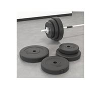 Plaques de poids 6 pcs 30 kg Béton