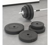 Plaques de poids 6 pcs 30 kg Béton plaque d’haltères vidaXL