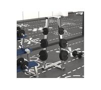 Plaques de poids 6 pcs 30 kg Fonte