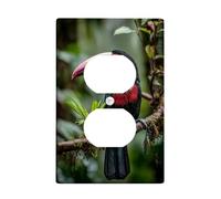 Plaques de protection pour interrupteur de lumière tropicale en forme de toucan - Oiseaux de la forêt tropicale vive pour décoration murale, plaques murales en thermoplastique, prise duplex simple de