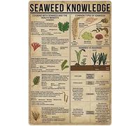 Plaques en métal sur les algues - Infographie murale - Affiches - Guide encyclopédique des algues - Décoration pour la maison, la chambre ou le jardin - Panneau en aluminium - Cadeau - 20 x 30 cm