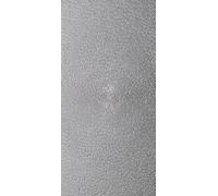 Plaques en plastique 52427 (L x l) 200 mm x 100 mm H0, TT