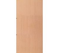 Plaques en plastique Auhagen 52413 (L x l) 200 mm x 100 mm H0, TT