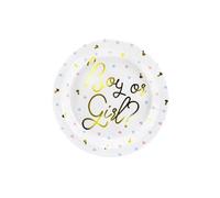 Plaques garçon ou fille de papier x 6 baby shower