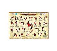 Plaques Infographie Sur Mes 23 Techniques D'Attaque Du Muay Thai Boran Plaque Métal Suspendre Panneaux Pour Décoratives Bureau Café Ferme M