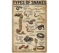 Plaques métalliques représentant des serpents, affiches, connaissances scientifiques sur les animaux, décoration murale, décoration d'intérieur, décoration de chambre, style rétro, impression club, 20
