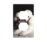 Plaques murales duplex - Couvercles de prise de courant de taille standard - 11,4 x 7 cm - Plaque d'interrupteur en polycarbonate incassable - Double sortie