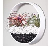 Plaques Murales en Métal Art Hagig Fleur Vase Roud IRO Hagig Panier Couleur Unie Mural Plateau Décor Adormet Bosai Créatif Idoor Pots Terrarium Plateau Fleurs Boîtes, White, (Large(12")