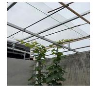 Plaques Polycarbonate Transparentes 1 Mm, Toiture Isolante Résistante Plaque Polycarbonate Transparente Étanche pour Serre, Jardin, Remplacement Panneaux Toiture(0.8x2m/2.62x6.56ft)