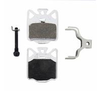 Campagnolo Db-410 Organic Disc Brake Pads Argenté Multicolor