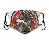 plaquettes frein de Pour Kawasaki ニンジャ EX 500 1994-2009 GPZ500S GPZ 500S EX500 1994-2001 ZZR 250 EX250 1990-2001 Plaquettes Frein Avant Arrière Rechange Motos(Front and Rear)