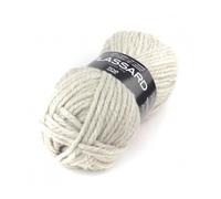 Plassard Très Grosse Laine idéale débutante Top 625 Beige