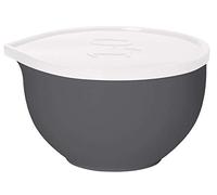 Plast Team 25110805-grnr Super Bowl, 1 l, Polypropylène, Castle Rock