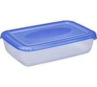 plast team Boîte de congélation Polar 3,0 litres bleu rectangulaire