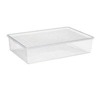 Plast Team Boîte de rangement Basic Box spécial bottes Transparent Polypropylène 55,5 cm