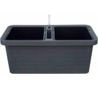 Plastia Jardinière Berberis DUO anth, A33613
