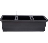 Plastia Jardinière Berberis TRIO ant, A33615