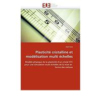 Plasticité Cristalline Et Modélisation Multi Échelles