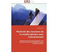 Plasticité Des Neurones De La Moelle Épinière Avec L'entraînement