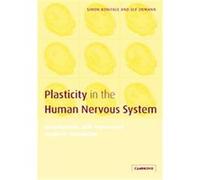Plasticity in the Human Nervous System