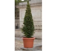 Pot a fleurs - Ø 40 cm rond - Terracotta