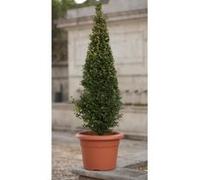 Pot a fleurs - Ø 40 cm rond - Terracotta