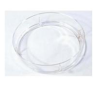 Plastique du panier vapeur pour robots COOKING CHEF Robot ménager (KW714716 KENWOOD)