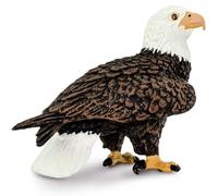 SAFARI - aigle chauve