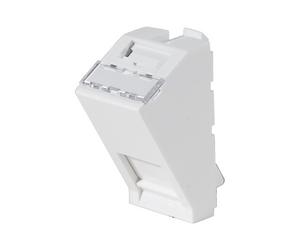 Plastron 22,5x45 incliné 30° pour 1 port RJ45 keystone