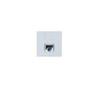 DEXLAN Plastron 45X45 droit 1 port RJ45 cat 6 stp G